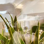 Profumi Di Primavera Luxury & Gæstehus 4*