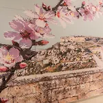 Affittacamere Profumi Di Primavera Luxury Rooms&suite 4*
