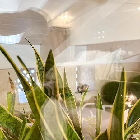 Profumi Di Primavera Luxury & Casa de hóspedes 4*