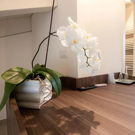 Gæstehus Profumi Di Primavera Luxury &