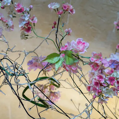 Profumi Di Primavera Luxury & Gæstehus