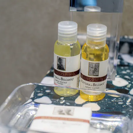 招待所 Profumi Di Primavera Luxury & 马泰拉