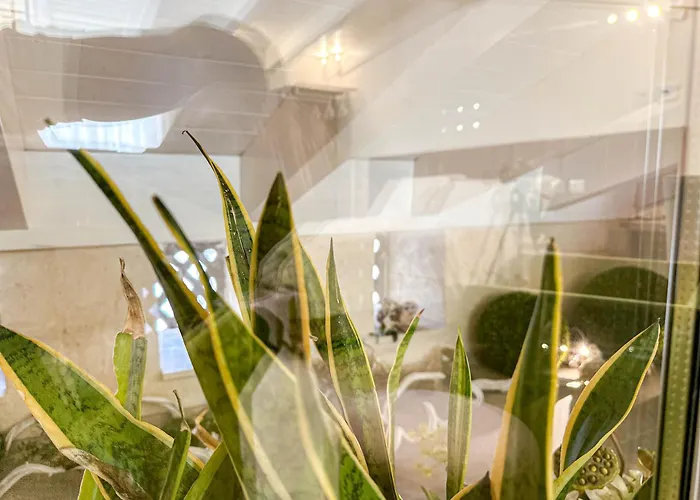 Profumi Di Primavera Luxury & Casa de hóspedes 4*